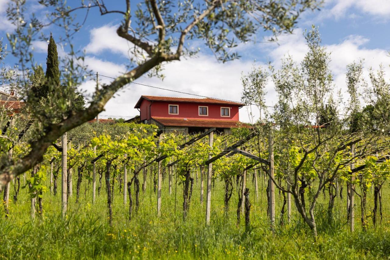 Touristfarm - Apartments "Red Fairytale" Marezige Buitenkant foto