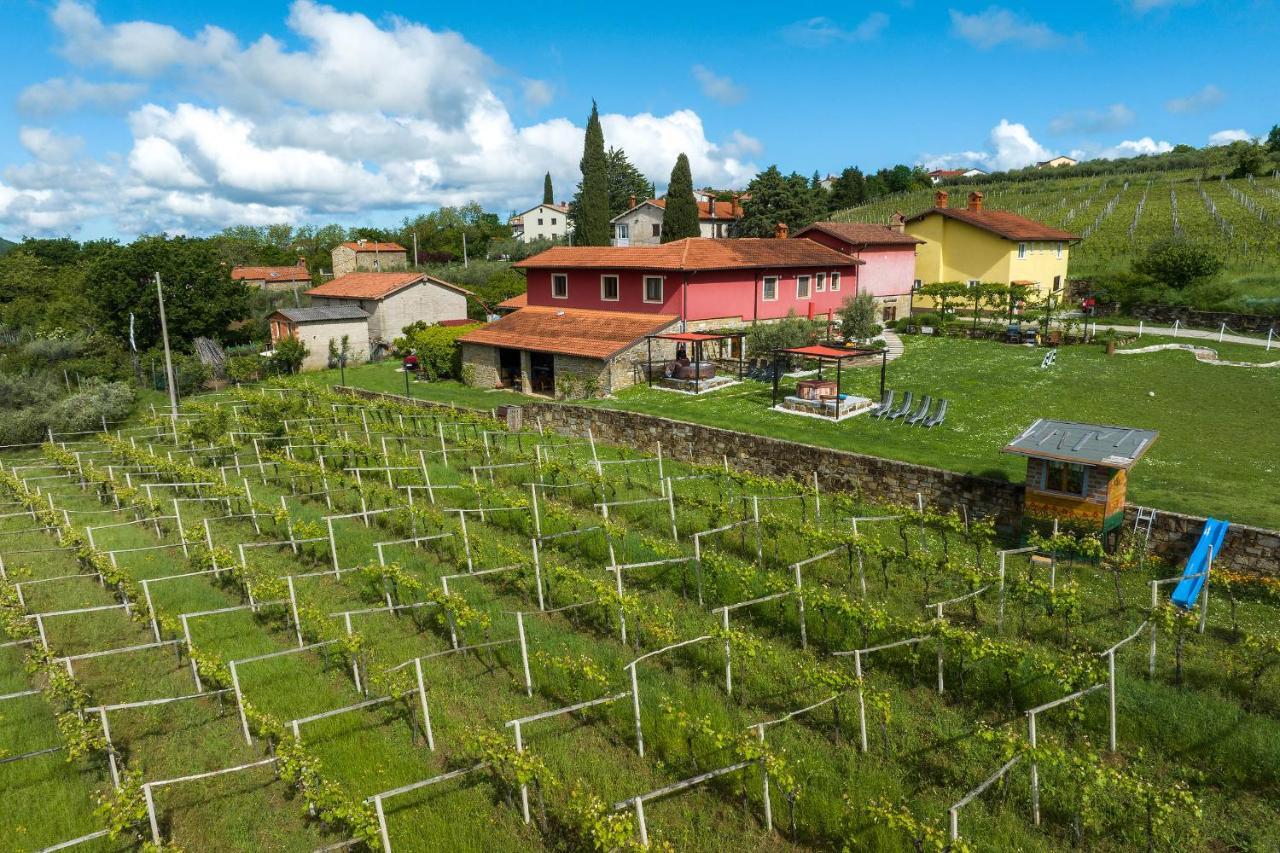 Touristfarm - Apartments "Red Fairytale" Marezige Buitenkant foto