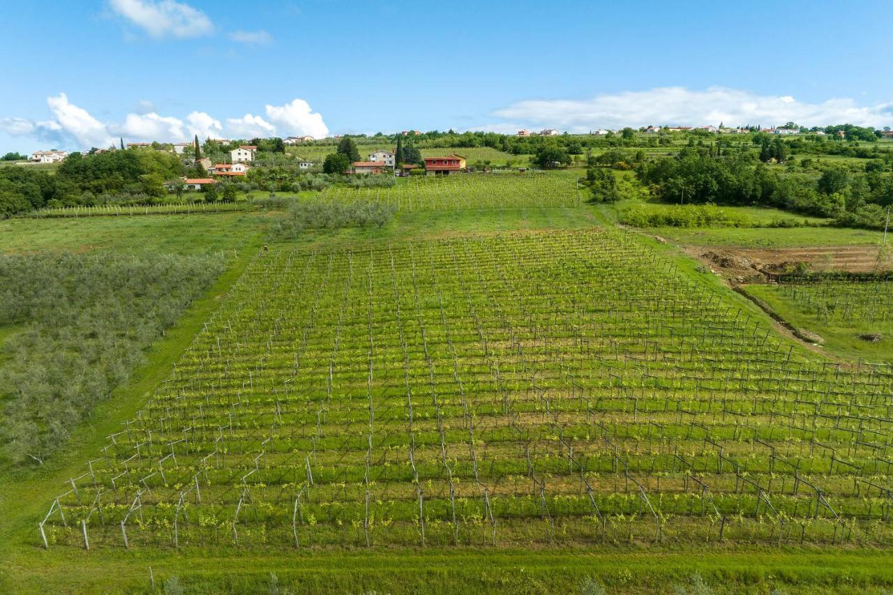 Touristfarm - Apartments "Red Fairytale" Marezige Buitenkant foto