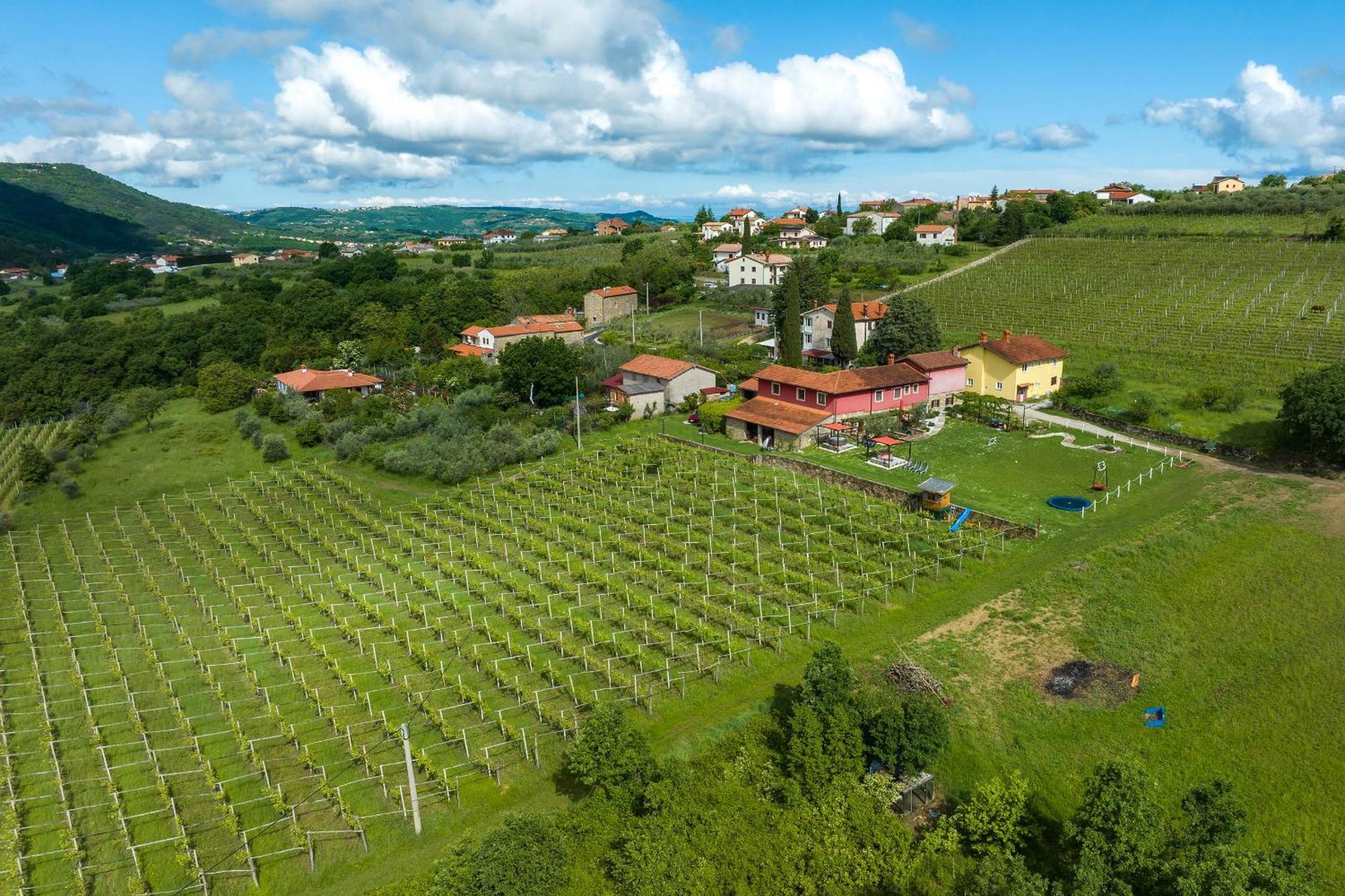 Touristfarm - Apartments "Red Fairytale" Marezige Buitenkant foto