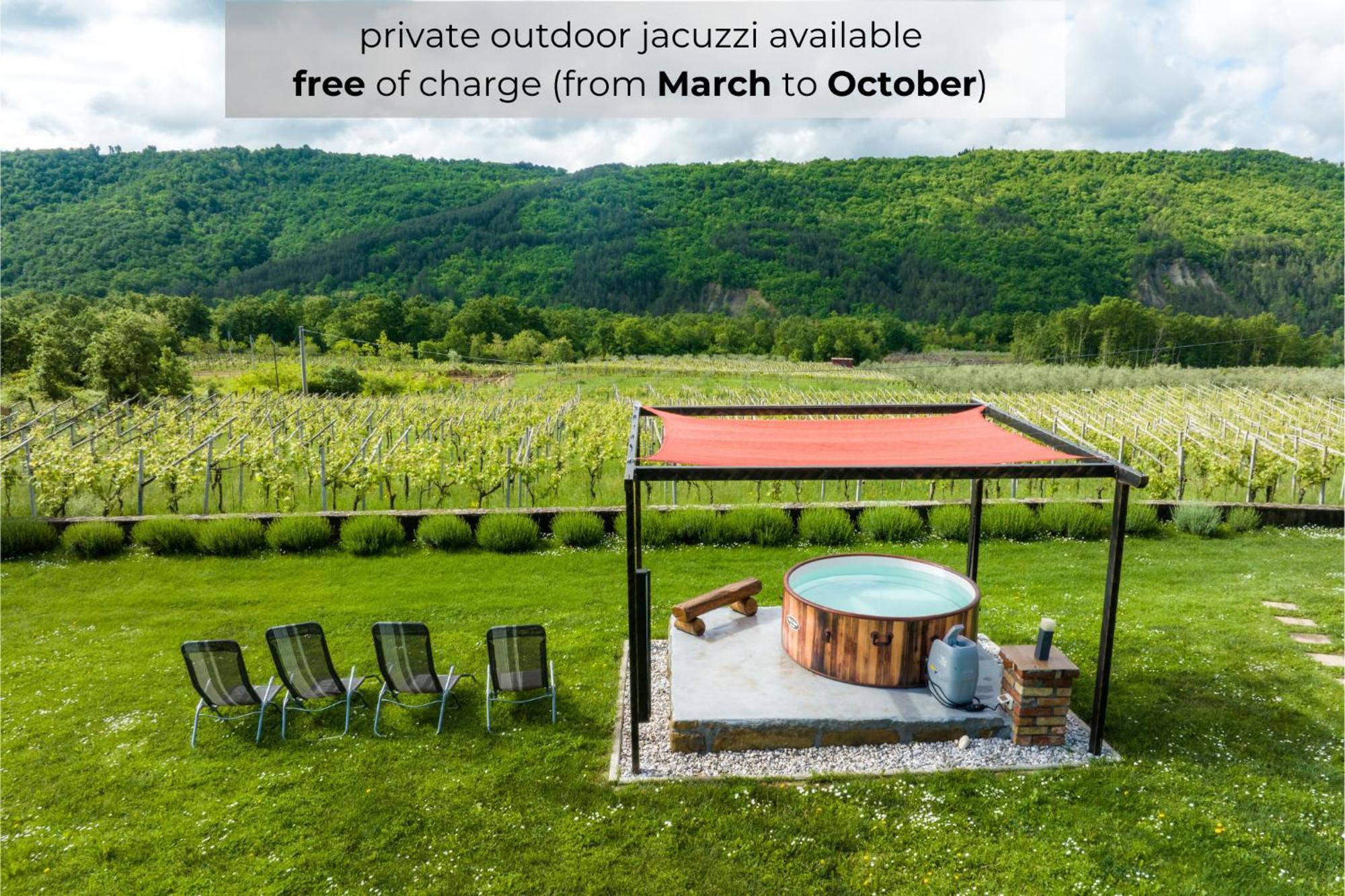 Touristfarm - Apartments "Red Fairytale" Marezige Buitenkant foto